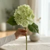 Silkeblomst Hortensia 48 cm - Grøn