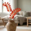Silkeblomst Polygo. 105 cm - Orange