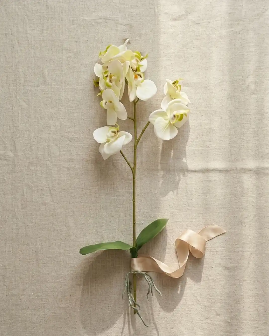 Orkide 41 cm | Naturtro Grøn/Hvid Blomst - Billede 3