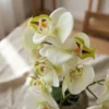 Orkide 41 cm | Naturtro Grøn/Hvid Blomst