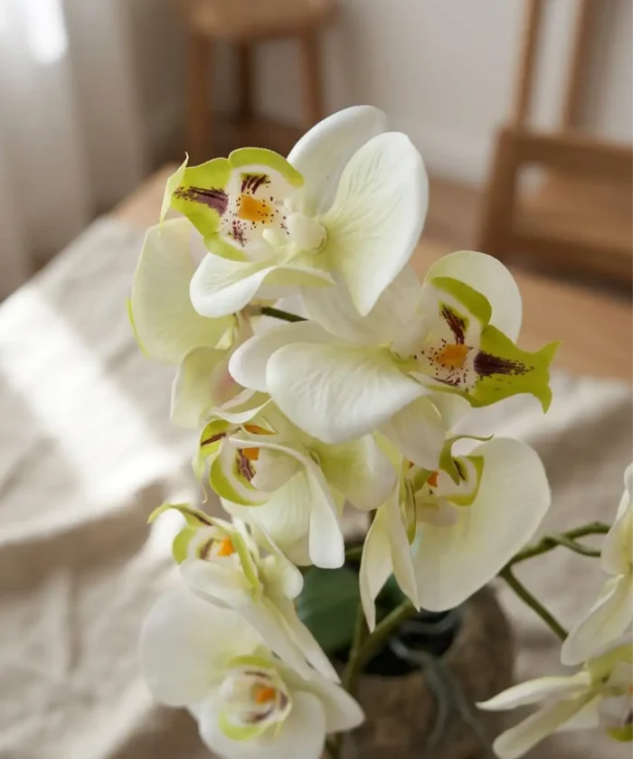 Orkide 41 cm | Naturtro Grøn/Hvid Blomst