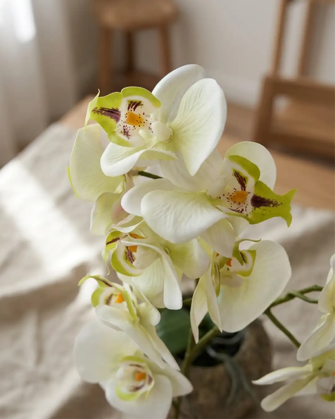 Orkide 41 cm | Naturtro Grøn/Hvid Blomst