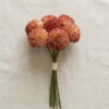 Silkebl. Dahlia 7/Bdt. L:27 cm Fuchsia new