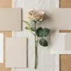 Silkebl. Rose H:35 cm Beige