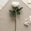 Silkebl. Rose H:35 cm Hvid